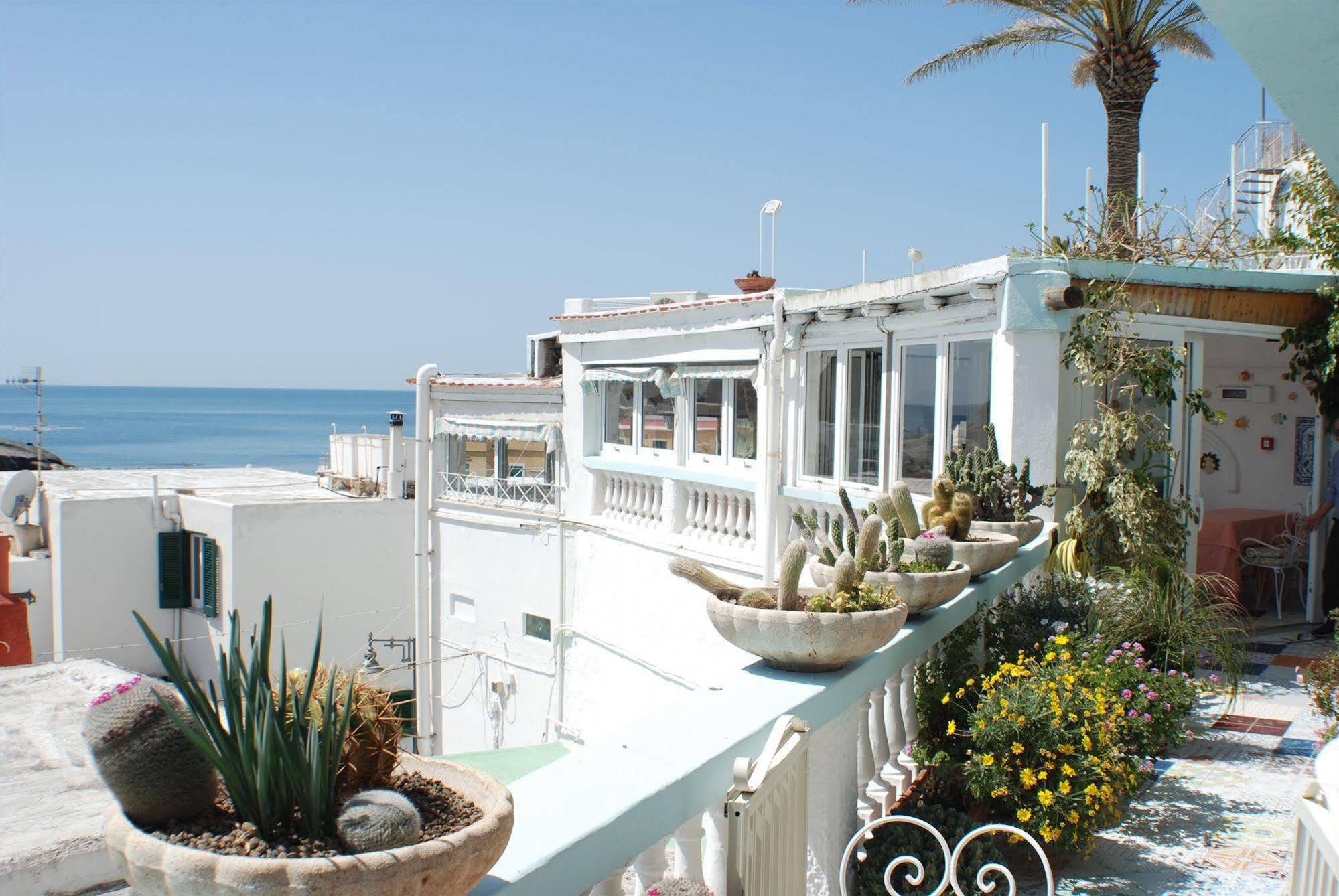 Hotel La Palma Sant'Angelo  Kültér fotó