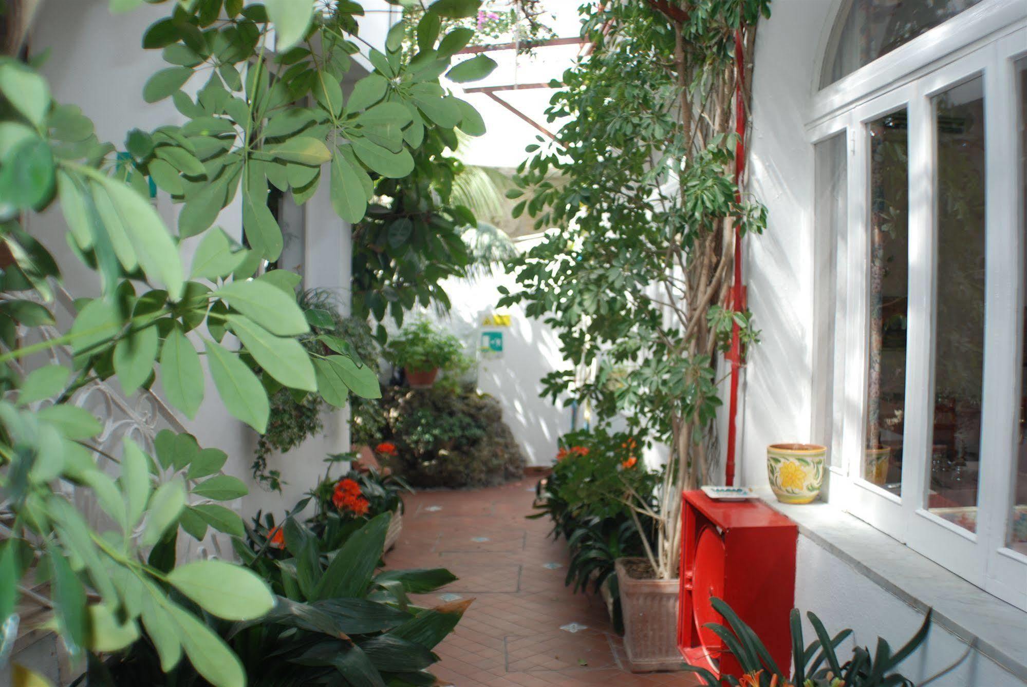 Hotel La Palma Sant'Angelo  Kültér fotó
